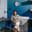 portrait of sun eun moon