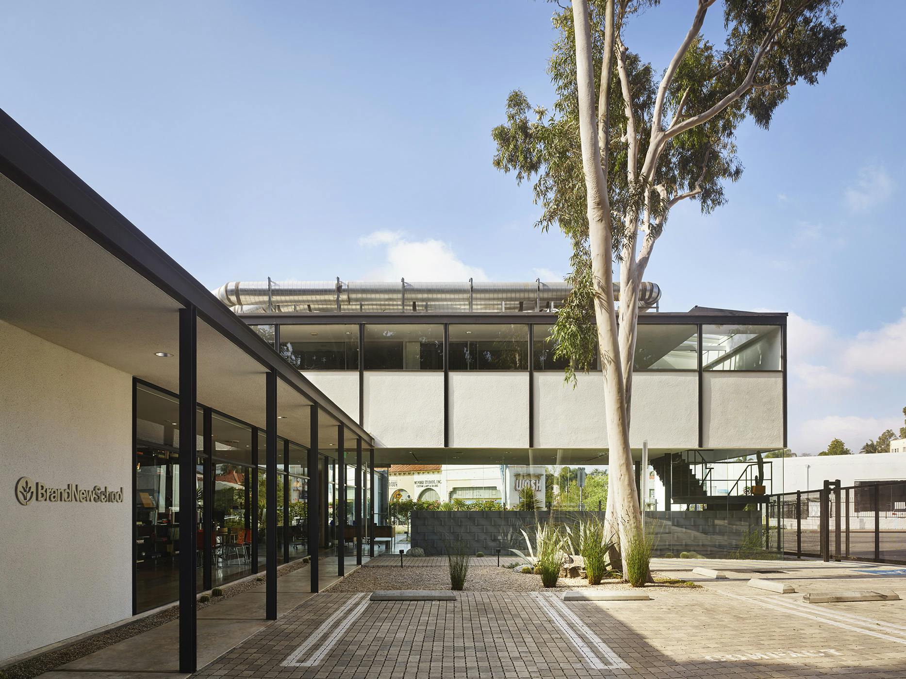 Exterior view of the BNS office LA featuring a eucalyptus tree and a midcentury modern building with an overhang with a glassroom below.